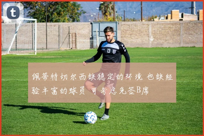 佩蒂特切尔西缺稳定的环境 也缺经验丰富的球员 可考虑免签B席
